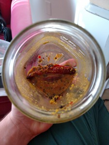 remnants of soup in a jar! remnants of soup in a jar